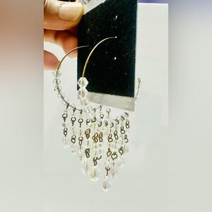 Elegant Crystal Hoop Earrings